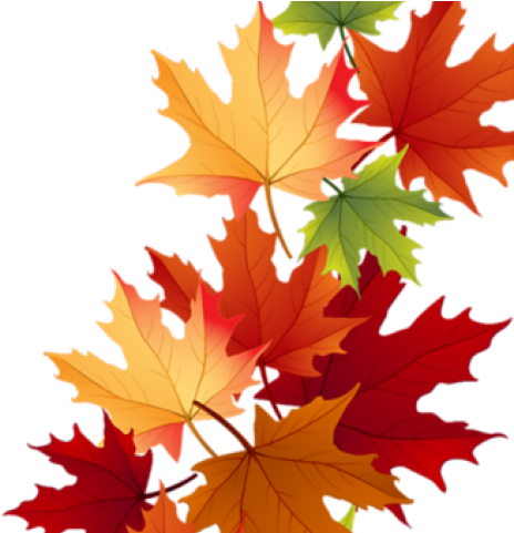 Maple Leaf Clipart Autumn Theme - Maple Leaf Clipart Autumn Theme (640x480)