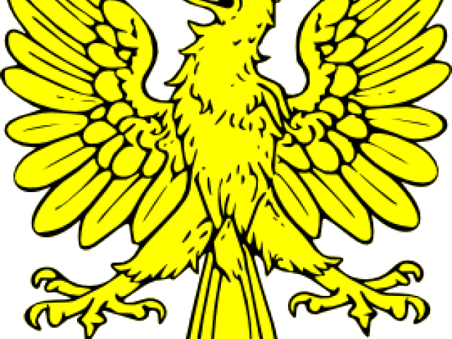 Phillipine Eagle Clipart Cartoon - Phillipine Eagle Clipart Cartoon (640x480)