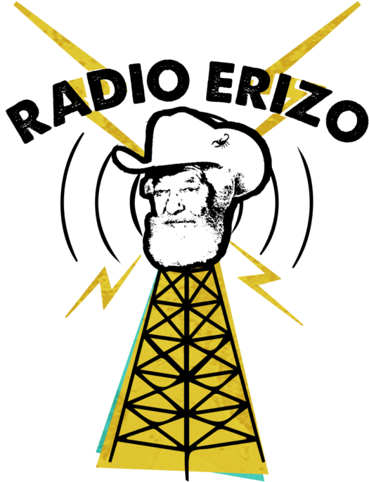 Un Programa Radiofónico Que Da Voz Y Vida A La Música - Un Programa Radiofónico Que Da Voz Y Vida A La Música (744x744)
