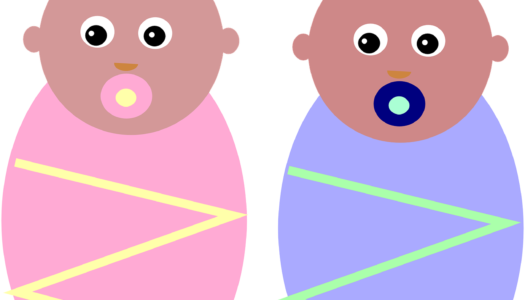 Best Gear For Twins - Best Gear For Twins (525x300)