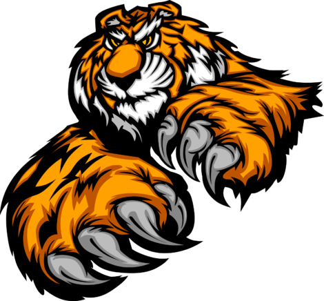 Get Your Attacting Tiger Custom T-shirts Or Phone Cases - Get Your Attacting Tiger Custom T-shirts Or Phone Cases (470x436)