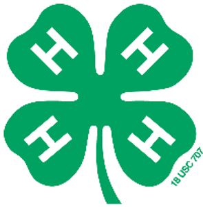 4h Logo Ogle County 4 H Clubs Invite New Members Morning - 4h Logo Ogle County 4 H Clubs Invite New Members Morning (600x300)