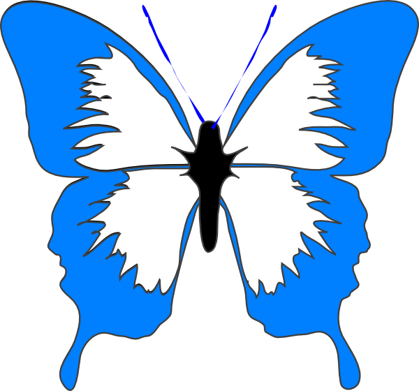 Blue - Butterfly - Clipart - Butterfly Black And White Clipart (600x560)