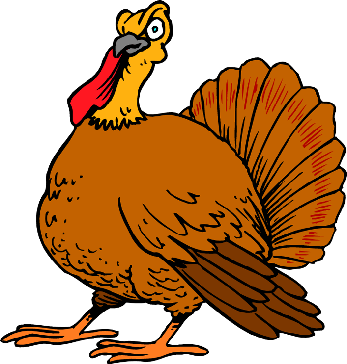 Free Turkey Clipart - Turkey Cartoons (800x842)