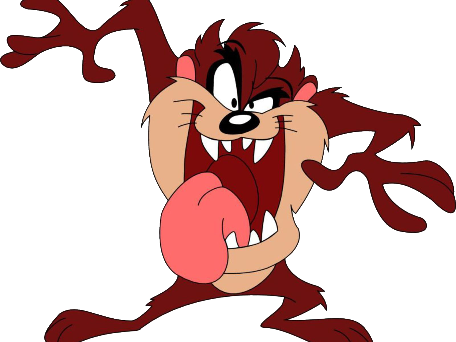 Tasmanian Devil Marvin The Martian Wallpaper - Tasmanian Devil (1600x1200)