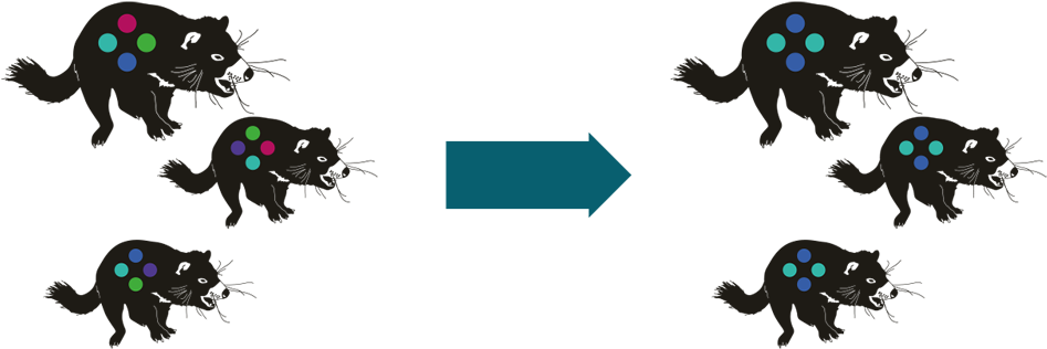 Previous / Next Image Thumbnails - Animal Figure (1000x853)