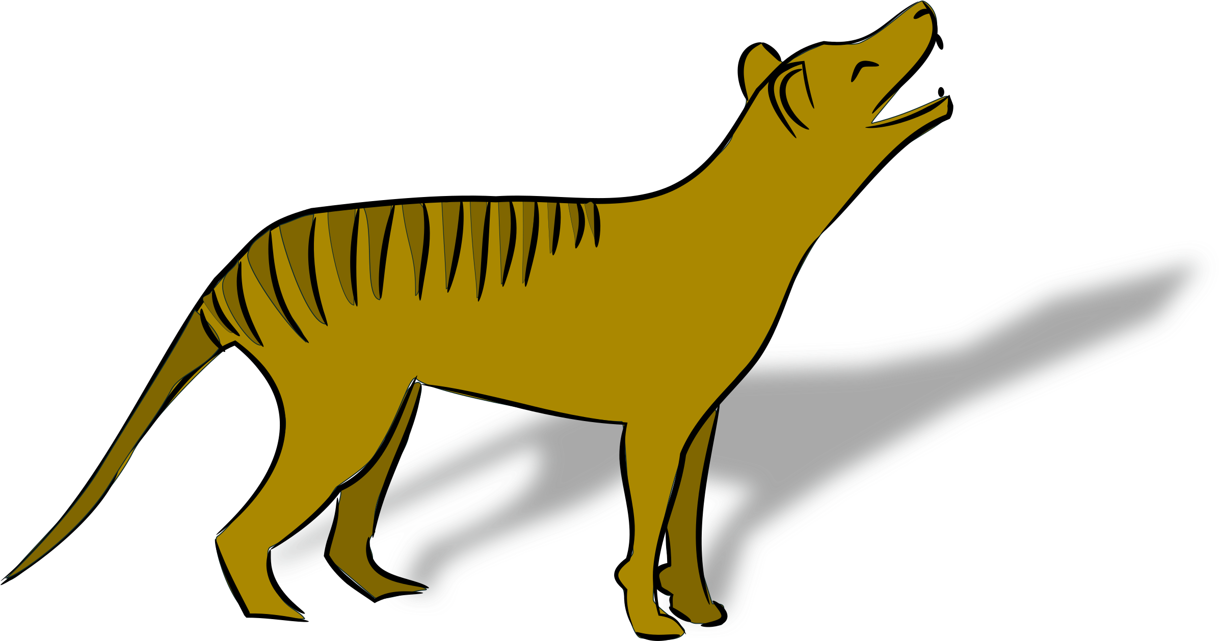 10 Tasmanian Tiger Facts - Cute Clip Art Austraian Animals (2400x1258)