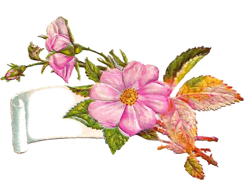 This Is A Very Pretty Digital Label I Created From - Greeting (950x653)