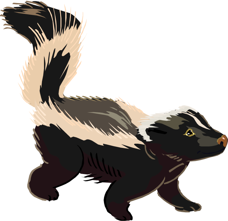 Free Clipart Anniversary Image Skunk Clipart Illustration - Clipart Images Of A Skunk (750x729)