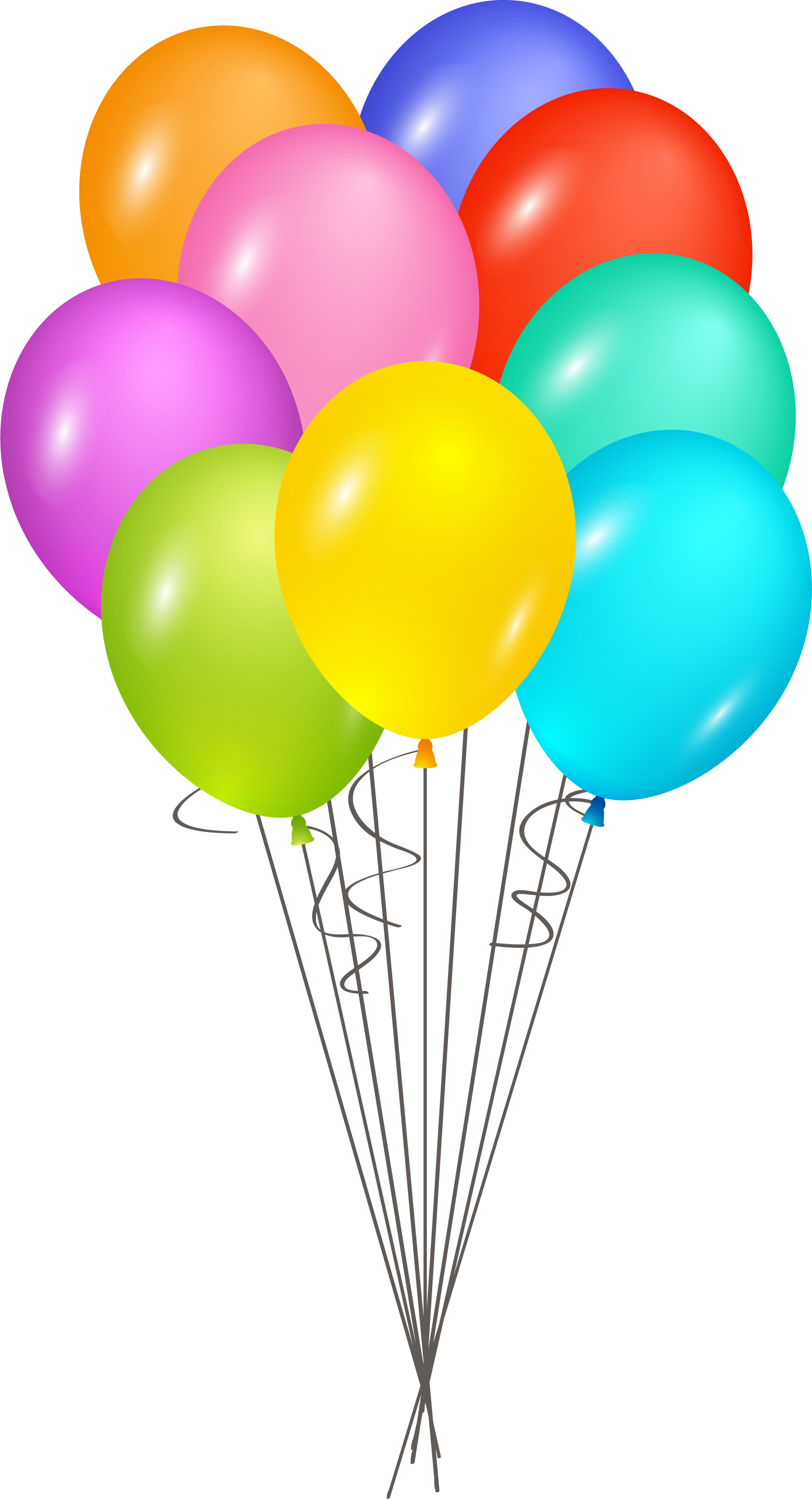 Birthday Cake Elk Island Public Schools Regional Division - Happy Birthday Psd Files Hd (1704x3144)