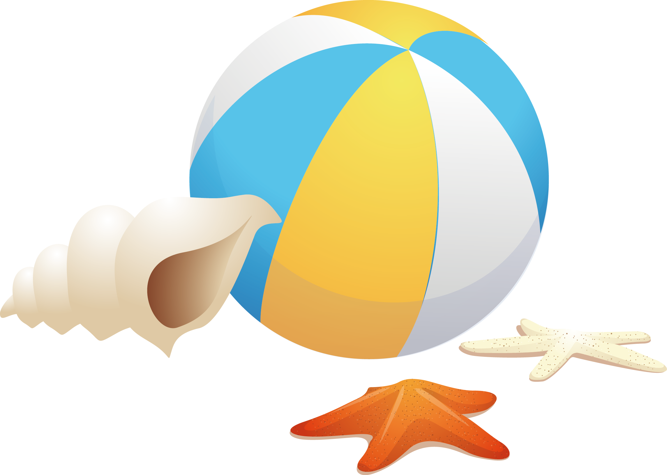 Beach Ball Gmd Computer File - Sea Snail (2290x1632)