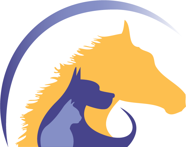 Love And Excellent Veterinary Care For Your Pets 24 - Baldivis Vet Hospital (652x516)