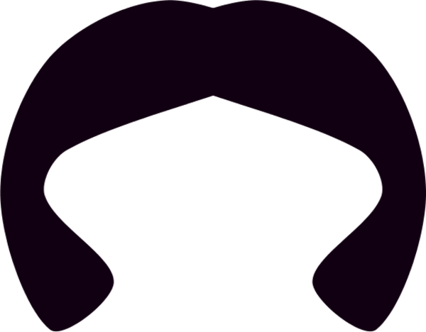 Hair - Black Hair Clip Art (600x468)