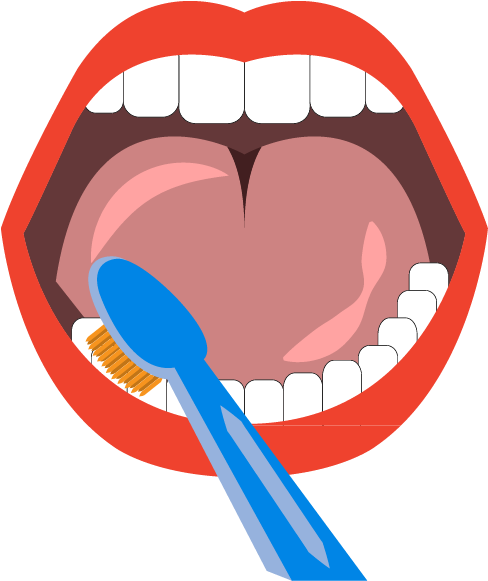 Tooth Brushing Teeth Cleaning Mouth Euclidean Vector - Brushing Png (600x600)