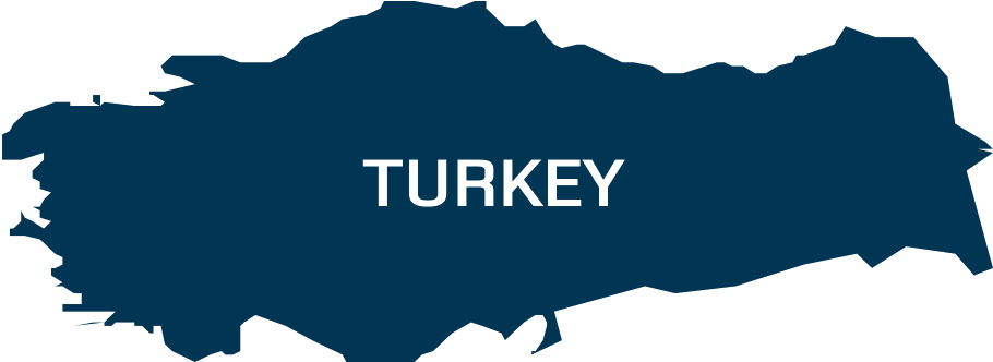 Ongoing - Ongoing (1046x628)