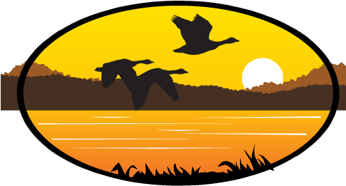 Program Spotlight - Program Spotlight (495x496)