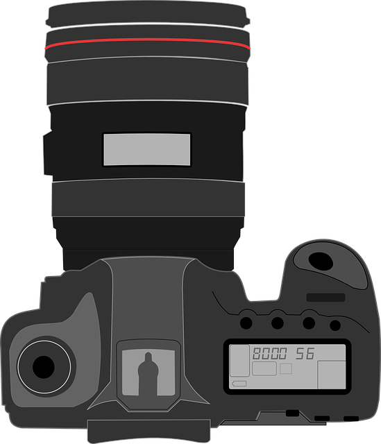 Camera, Design, Photo - Camera, Design, Photo (549x640)