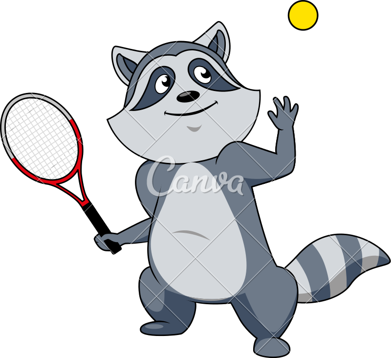 Cartoon Raccoon Tennis Player Character - Cartoon Raccoon Tennis Player Character (800x732)