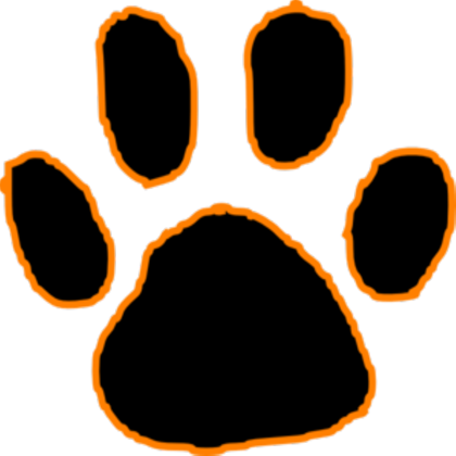 Black With Orange Outline Md Roblox - Black With Orange Outline Md Roblox (420x420)