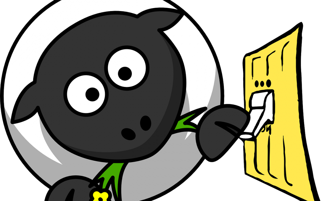 Bpd/ds Biliopancreatic Diversion With Duodenal Switch - Bpd/ds Biliopancreatic Diversion With Duodenal Switch (1080x675)