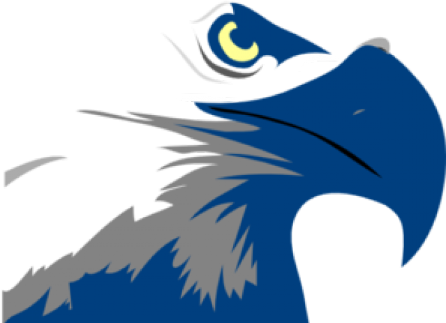 Bald Eagle Clipart Eagle Scout - Bald Eagle Clipart Eagle Scout (640x480)