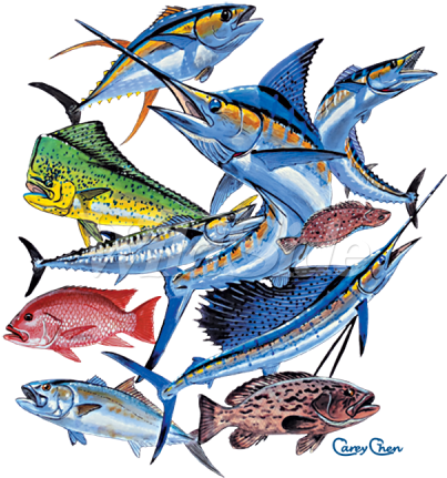 Saltwater Fish Collage - Saltwater Fish Collage (450x450)