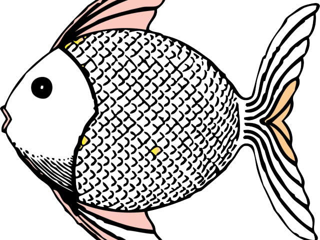 Marine Fish Clipart Cool Fish - Marine Fish Clipart Cool Fish (640x480)