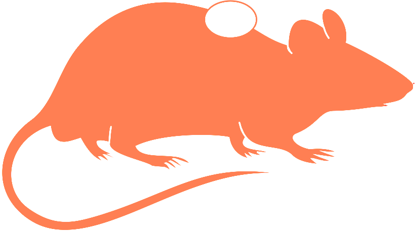 Animal Models Title Xenogeneic - Animal Models Title Xenogeneic (821x459)