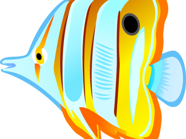 Sea Life Clipart Marine Science - Sea Life Clipart Marine Science (640x480)