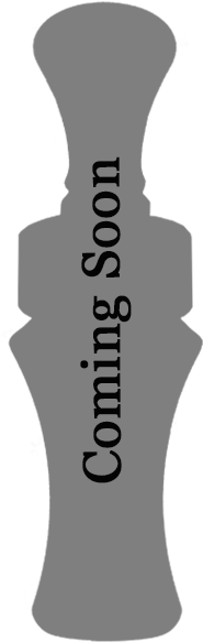 Slider Detail Ground Shaker Canada - Slider Detail Ground Shaker Canada (510x588)