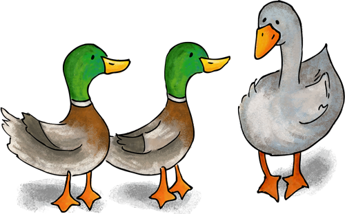 Duck, Duck, Goose - Duck, Duck, Goose (500x311)