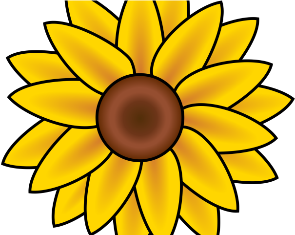 Sunflower Clipart Basket - Sunflower Clipart Basket (640x480)