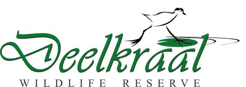 “i Envy A Man Who Has Never Been To Africa, For He - “i Envy A Man Who Has Never Been To Africa, For He (800x283)