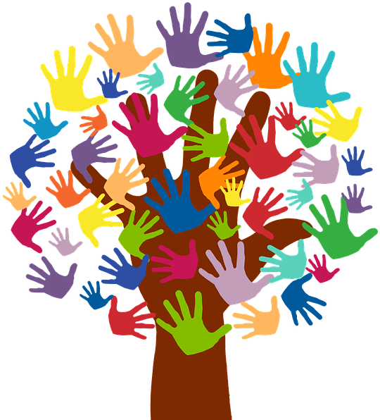 Hi Our Names Are Liam & Lyla Fox, And We Are Ready - Hi Our Names Are Liam & Lyla Fox, And We Are Ready (960x640)