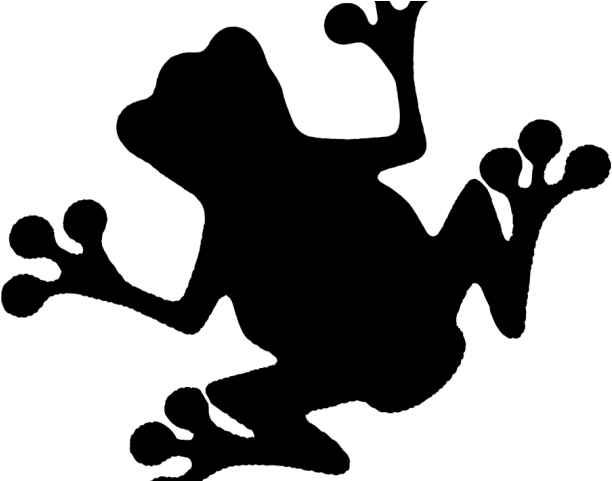 Drawn Frog El Coqui - Drawn Frog El Coqui (640x480)