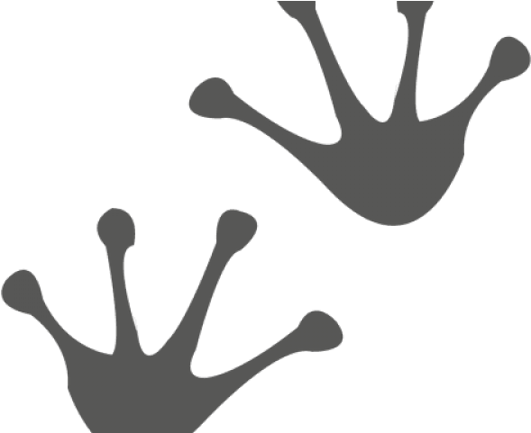 Footprint Clipart Frog - Footprint Clipart Frog (640x480)