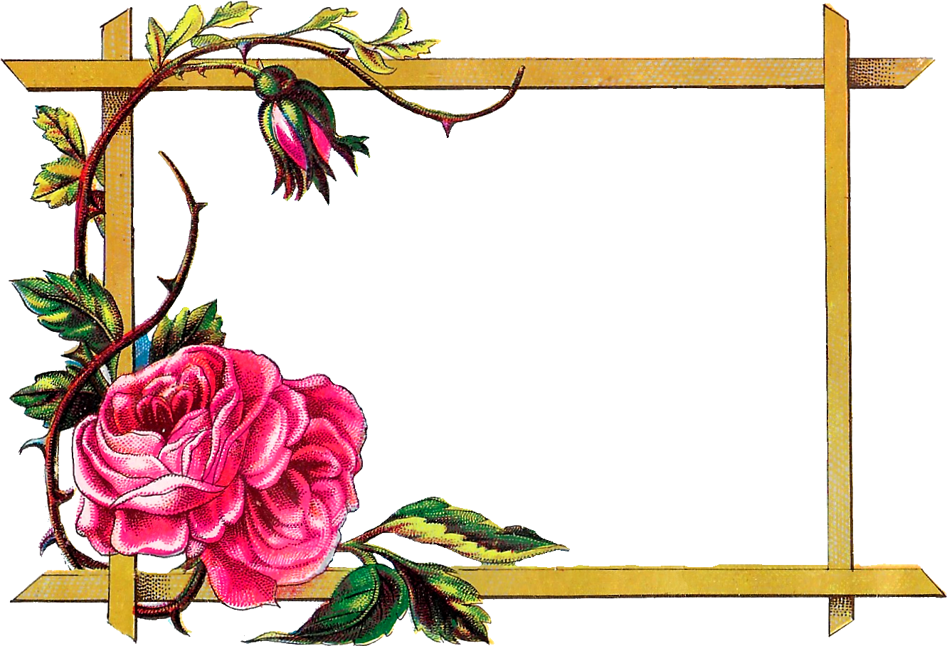 Digital Clipart Craft Rose Border Download - Digital Clipart Craft Rose Border Download (1350x940)