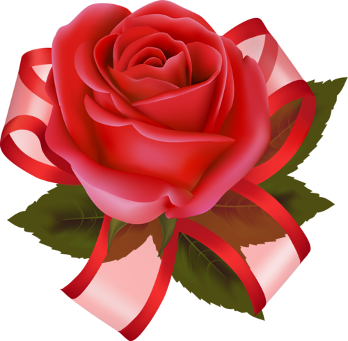 Tubes Fleurs My Flower, Scrap, Tube, Clip Art, Valentines, - Tubes Fleurs My Flower, Scrap, Tube, Clip Art, Valentines, (500x490)