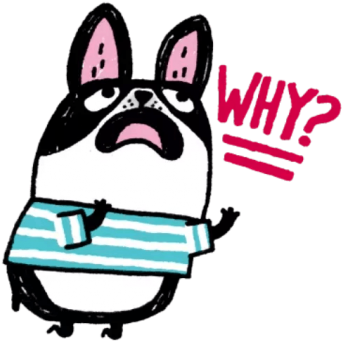 Why Вхай - Why Вхай (360x360)