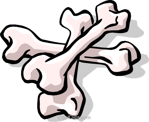Bones Royalty Free Vector Clip Art Illustration - Bones Royalty Free Vector Clip Art Illustration (480x393)