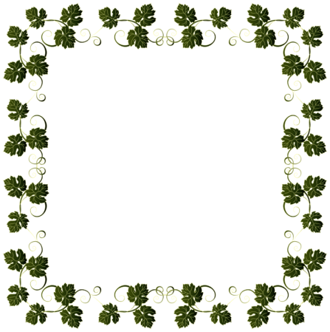 Free Png Download Vine Border Frame Clipart Png Photo - Free Png Download Vine Border Frame Clipart Png Photo (480x483)