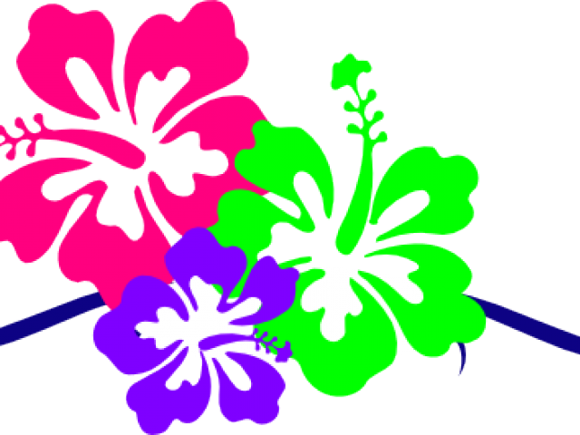 Flowers Borders Clipart Hibiscus - Flowers Borders Clipart Hibiscus (640x480)