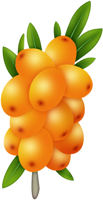 Tropical Watercolor Fruit, Fruit Painting, All Fruits, - Tropical Watercolor Fruit, Fruit Painting, All Fruits, (458x858)
