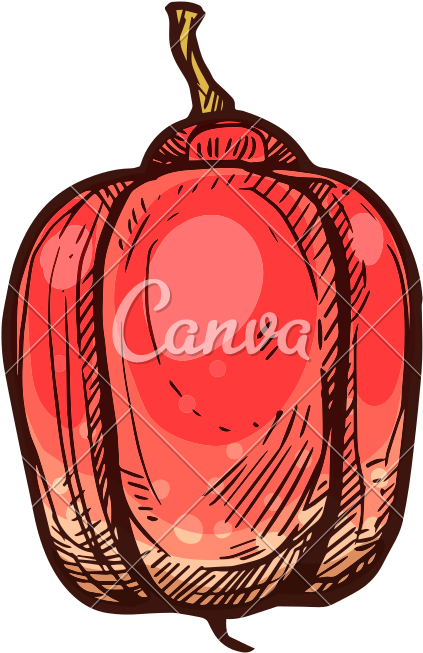 Ackee Tropical Fruit Sketch For Exotic Food Design - Ackee Tropical Fruit Sketch For Exotic Food Design (800x800)