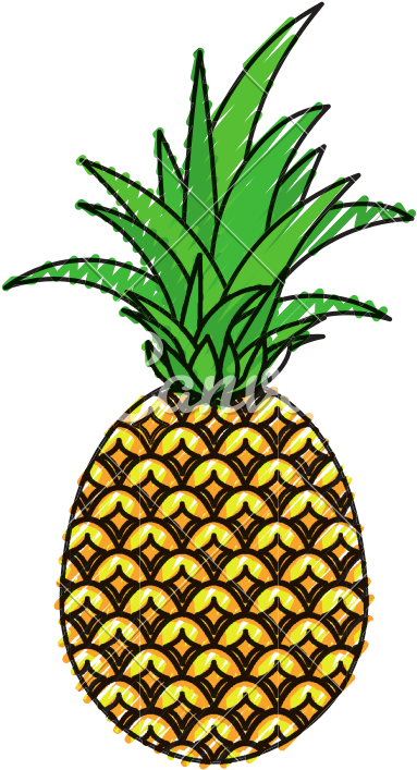 Pineapple Tropical Fruit - Pineapple Tropical Fruit (800x800)