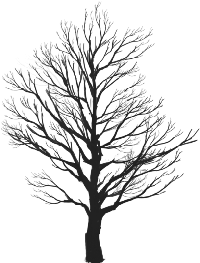 Tree Vector Clipart, Tree Clipart, Tree Png Vector - Tree Vector Clipart, Tree Clipart, Tree Png Vector (408x535)