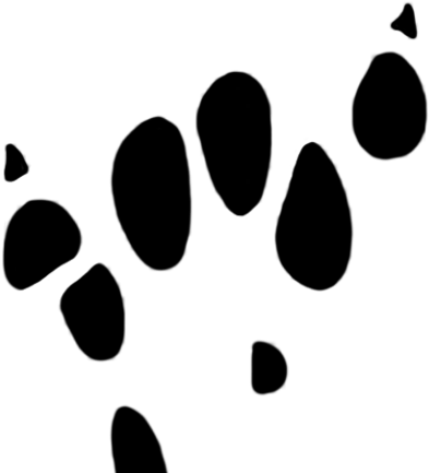 Footprint Clipart Rat - Footprint Clipart Rat (640x480)