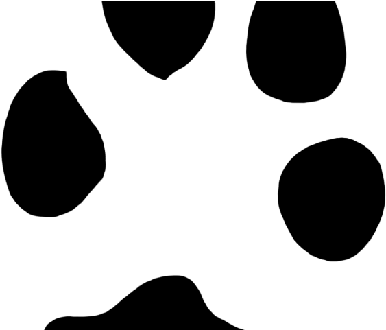 Hare Clipart Footprint - Hare Clipart Footprint (640x480)