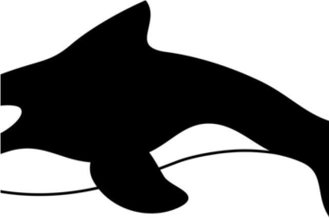 Beluga Whale Clipart Transparent - Beluga Whale Clipart Transparent (640x480)