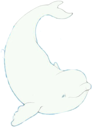Beluga Clipart Kawaii - Beluga Clipart Kawaii (619x456)